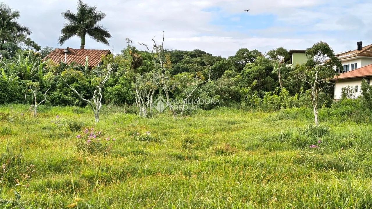 Terreno à venda no Centro da Praia da Pinheira - Foto 3