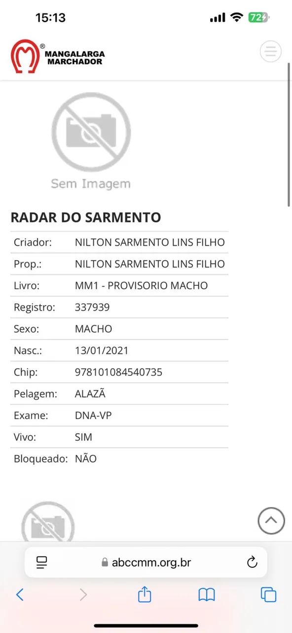 Cavalo mangalarga marchador registrado. - Foto 3
