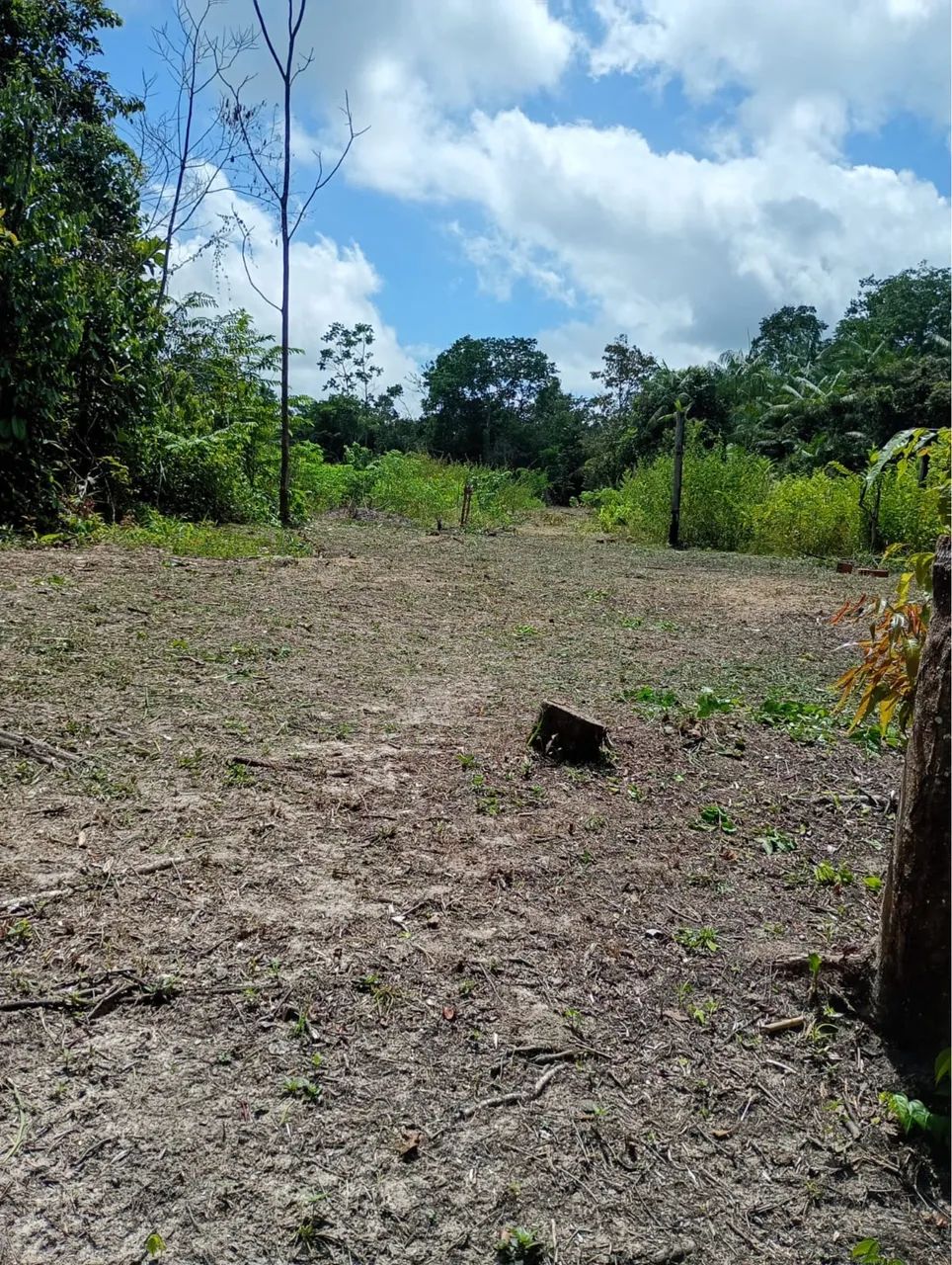 Terreno no Acará  - Foto 2