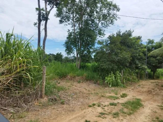Chacara a venda - Foto 2