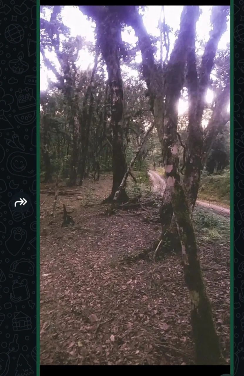 Terreno  - Foto 3