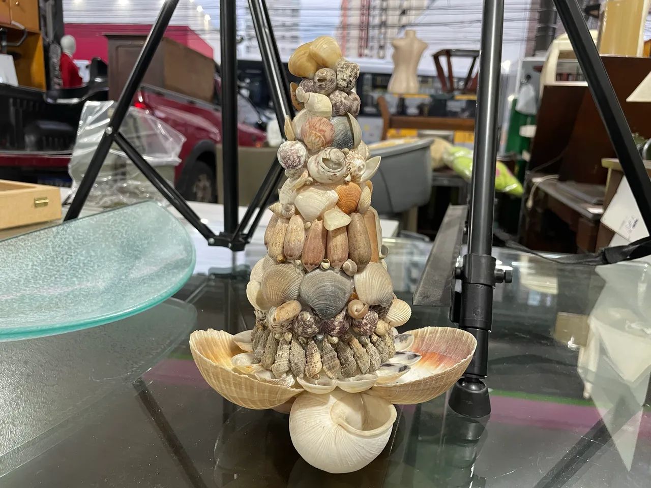 Decoração Árvore de Conchas
