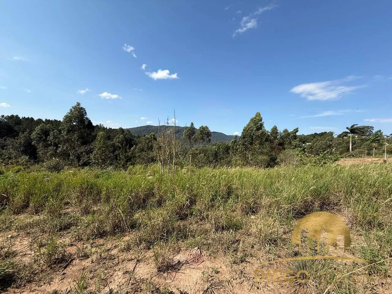 Terrenos à venda com 1.500 m² - Foto 4