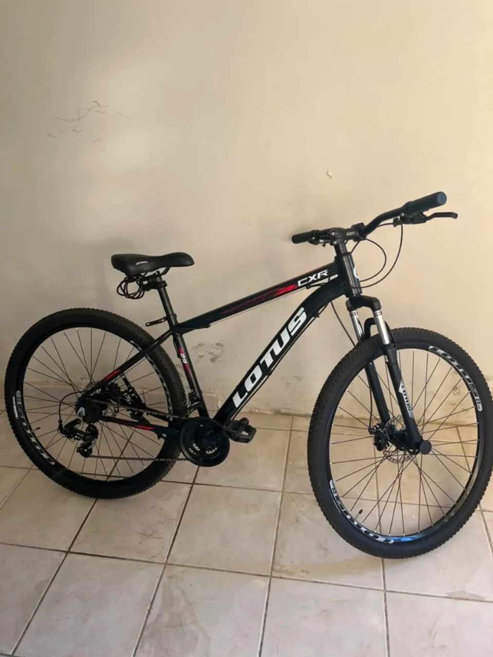 Bicicleta aro 29