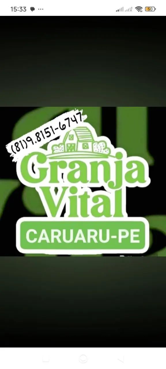Poedeiras Embrapa 051 - Foto 2
