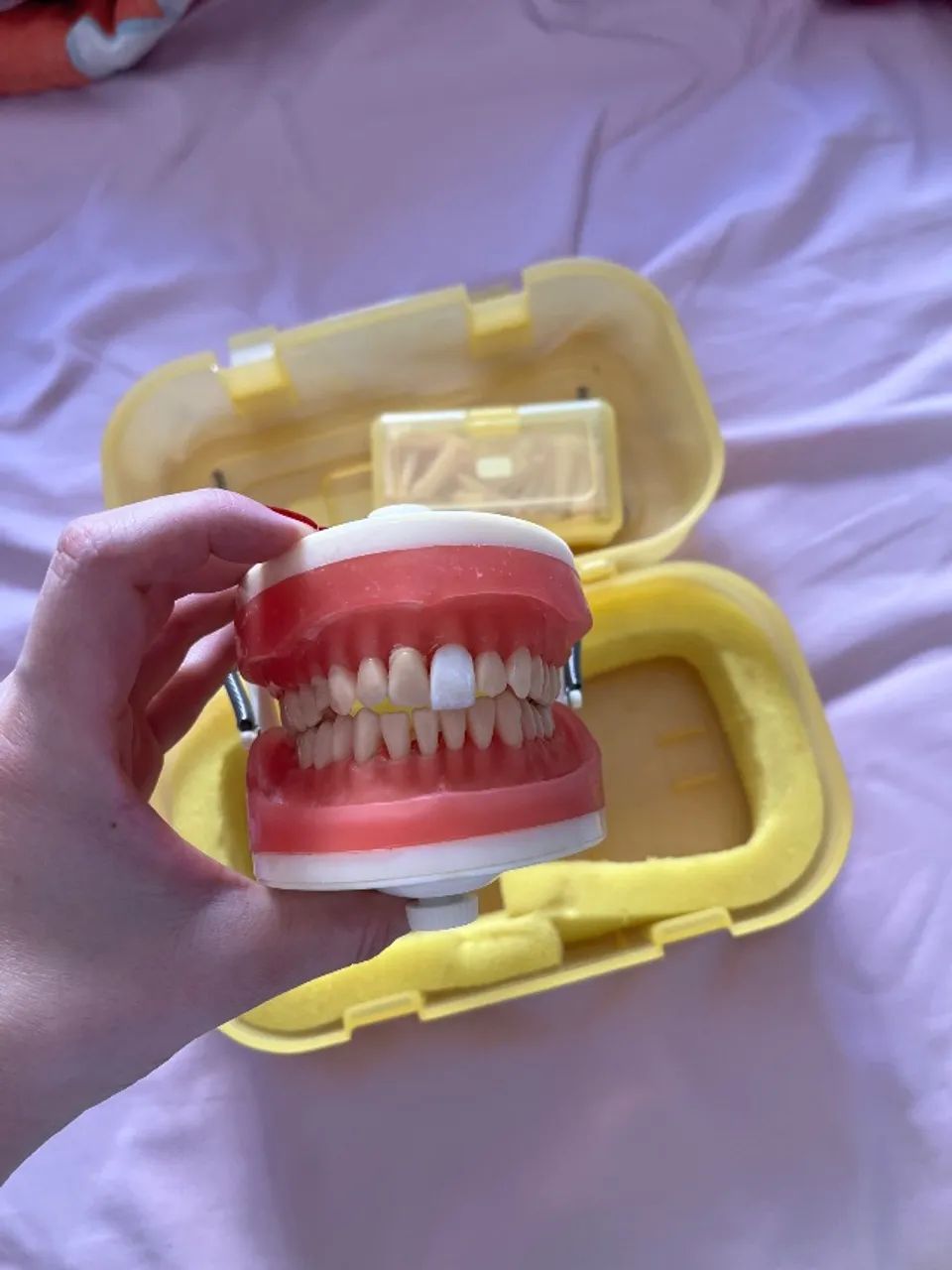Manequim de dentística  - Foto 3