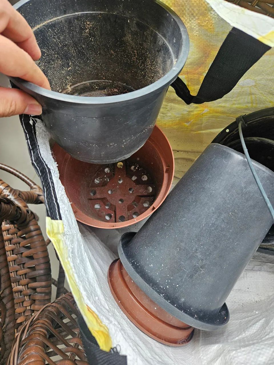 Vasos para plantas  - Foto 3