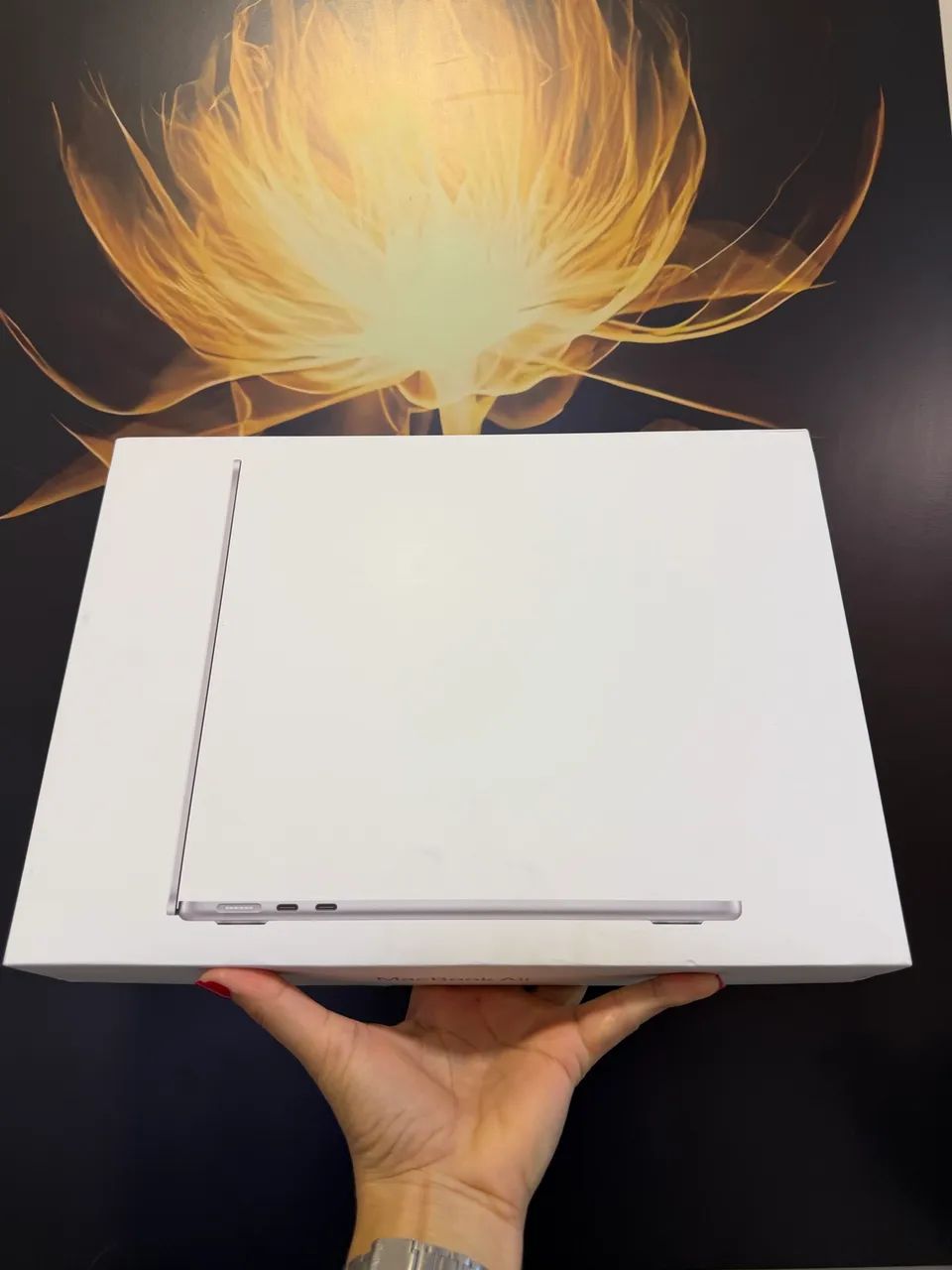 MacBook Air M4 256gb 16 RAM - Lacrado 