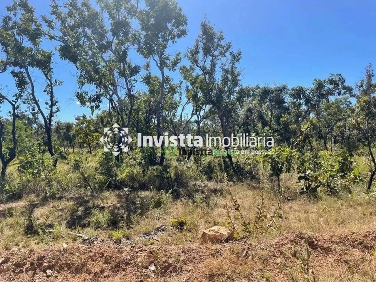 Fazenda com 900 alqueires para lavoura em Almas - Foto 10