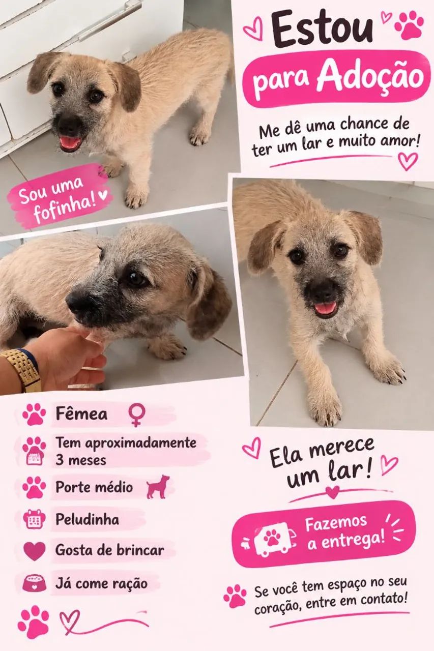 Adoação  - Foto 2