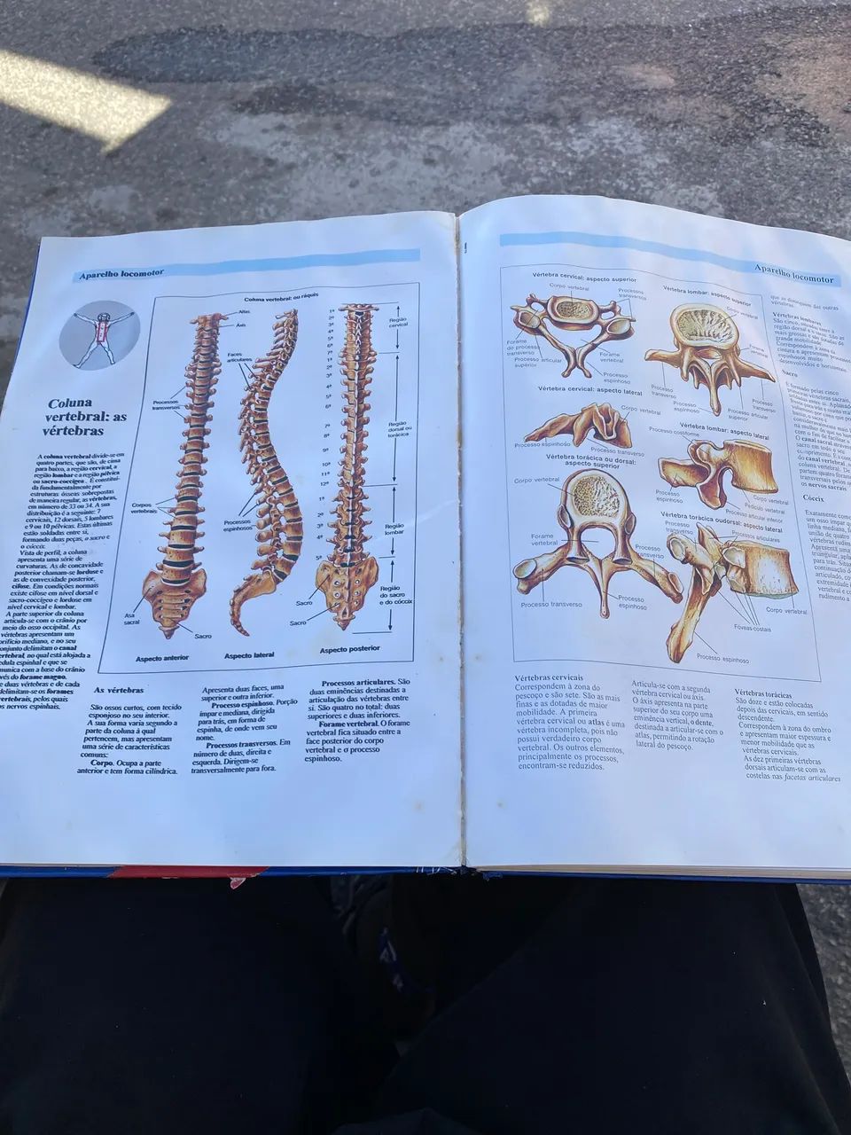 Atlas de anatomia E saúde  - Foto 4
