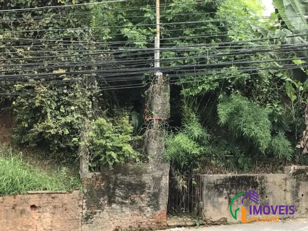 AREA - BUTANTÃ - SP - Foto 2