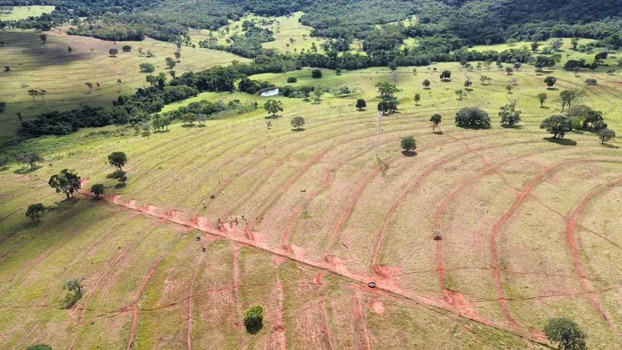 Fazenda dupla aptidão  - Foto 5