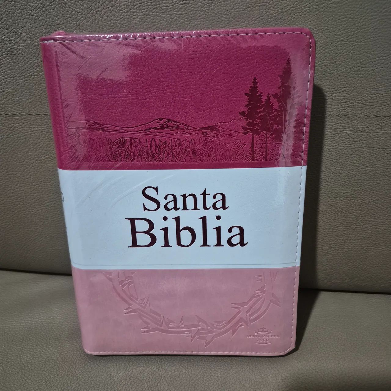 Promoção 
