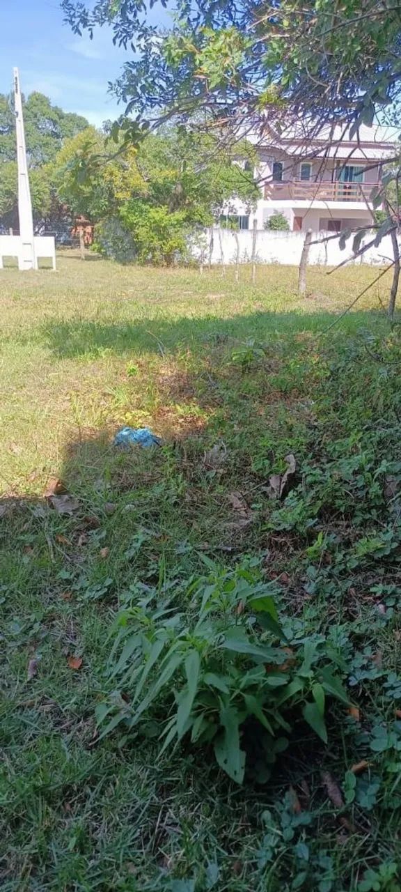 Terreno plano e seco, com 126.50m quadrados - Foto 2