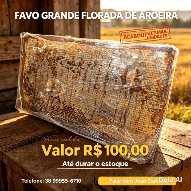Favo de Mel - Foto 2