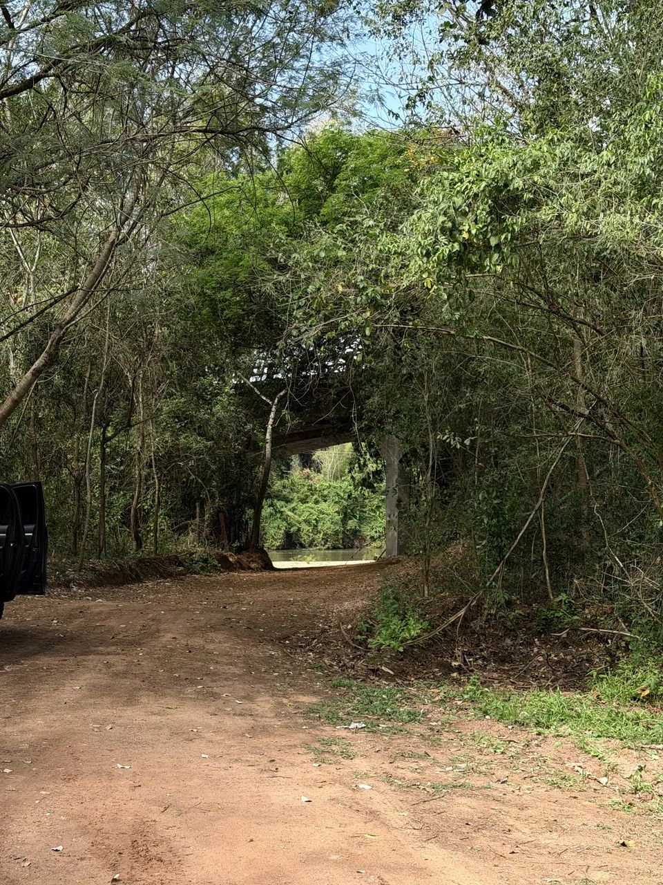 Pesqueiro próximo ao rio Miranda  - Foto 5