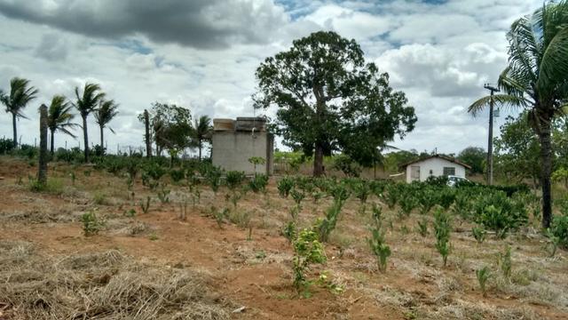 Ótima propriedade de 7.5 hectares, próximo a Lagoa de Itaenga-PE - Foto 3