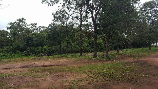 Lotes de 975 m² total de 2.925 m² na Av. Teôtonio, 802 Sul - Ao - Foto 2