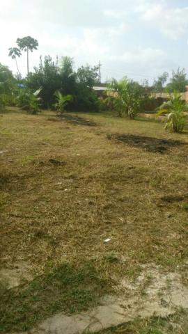 Vende-se um terreno * - Foto 3