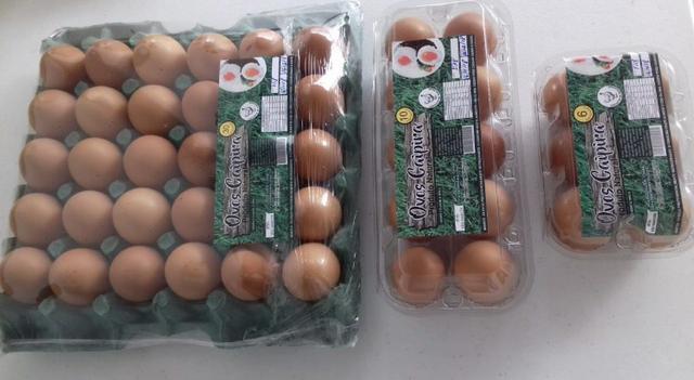 30 Ovos de galinha caipira ovo