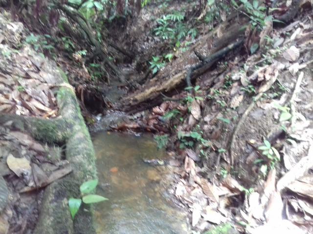Fazenda Marau/Ubaitaba - Foto 15