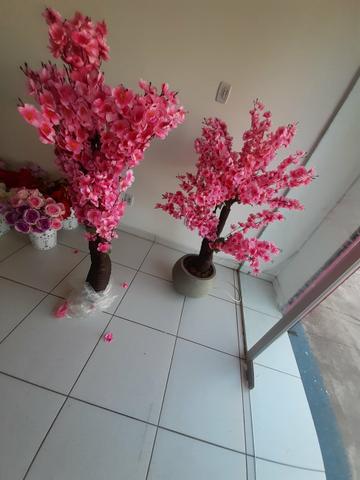 Decoração - Foto 2