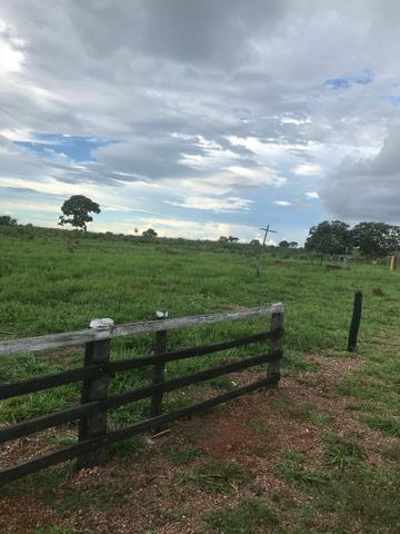 Fazenda 354 hectares, Município de Livramento/MT - Foto 10