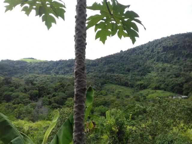 Fazenda Marau/Ubaitaba - Foto 16