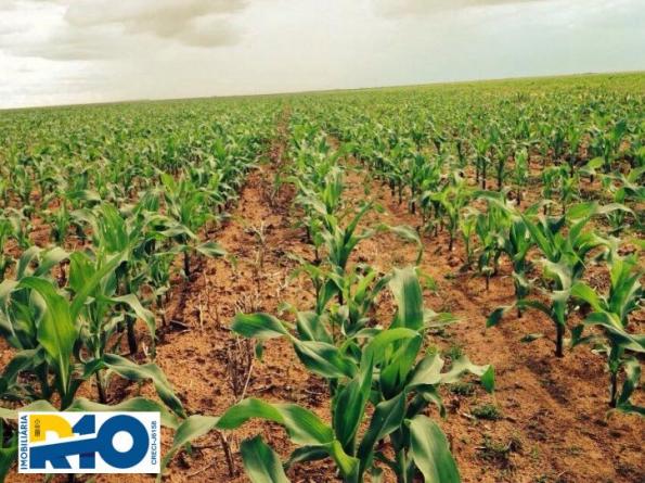 Fazenda Venda no Oeste Baiano Barreiras BA e outras Regiões Soja - Foto 9