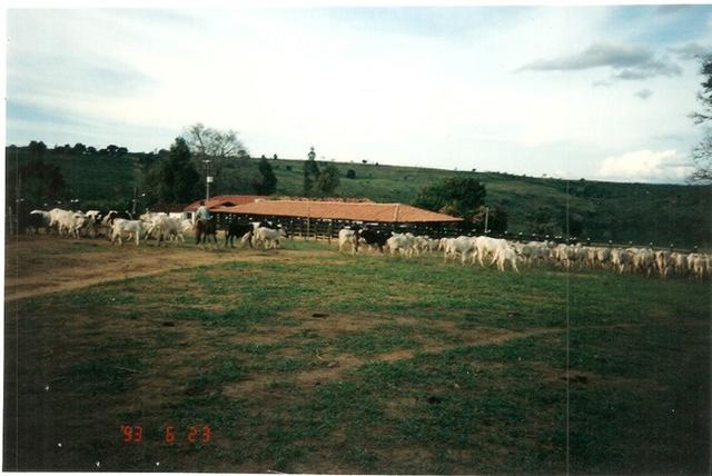 Vendo fazenda de Pecuária com 1.720 hectáres - Foto 7