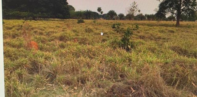 Chácara à venda, 20000 m² - comunidade praia grande, - várzea grande/mt - Foto 15