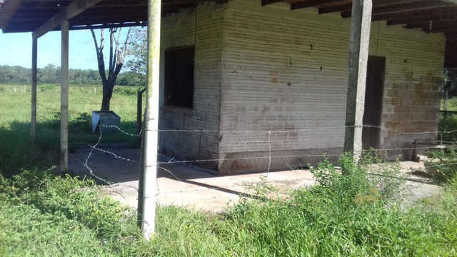 Sítio no Pará,20 hectares com pasto, curral, casa ,igarape por 250 mil reais - Foto 4