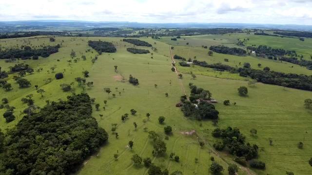 Fazenda 20 alqueires em Piracanjuba - Foto 7