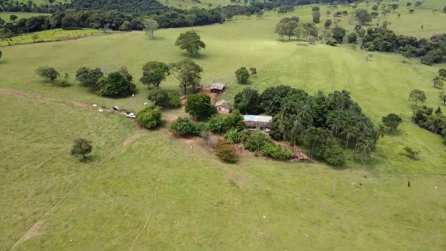 Fazenda 20 alqueires em Piracanjuba - Foto 10