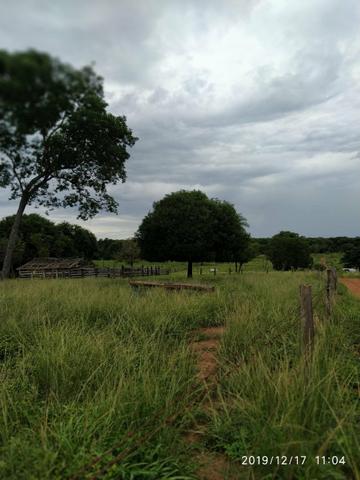 Chácara no município de Cariri do Tocantins - Foto 4