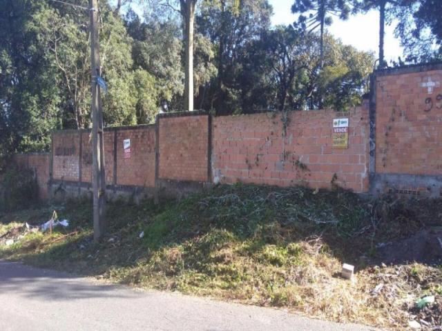 TERRENO RESIDENCIAL À VENDA, PINHEIRINHO, CURITIBA - TE0173. - Foto 5