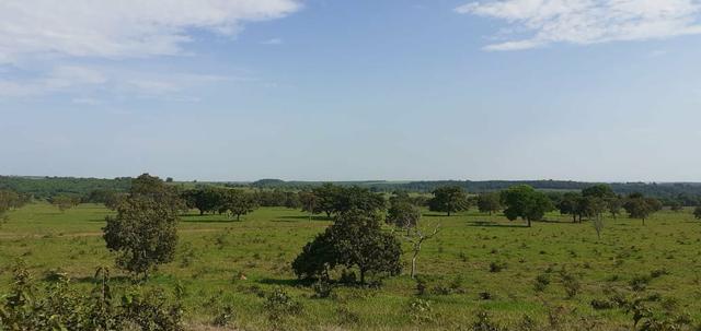Fazenda
