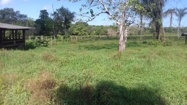 Sítio no Pará,20 hectares com pasto, curral, casa ,igarape por 250 mil reais - Foto 9