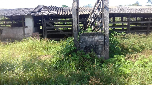 Sítio no Pará,20 hectares com pasto, curral, casa ,igarape por 250 mil reais - Foto 16