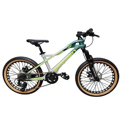 Bicicleta aro 20 MTB 1-8vel | Parcelamos Sem Juros