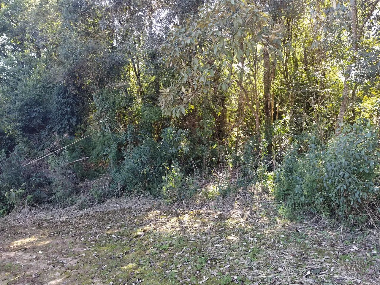 Sítio Reserva Ribeirão  - Foto 5
