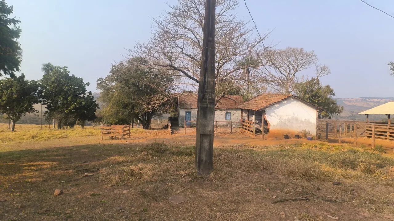 FAZENDA PRA PECUÁRIA EM ROMARIA 