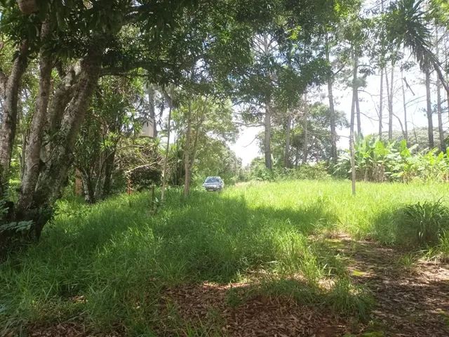 Chácara na região da Saia Velha/ Chifrudo com 31000m² - Foto 3