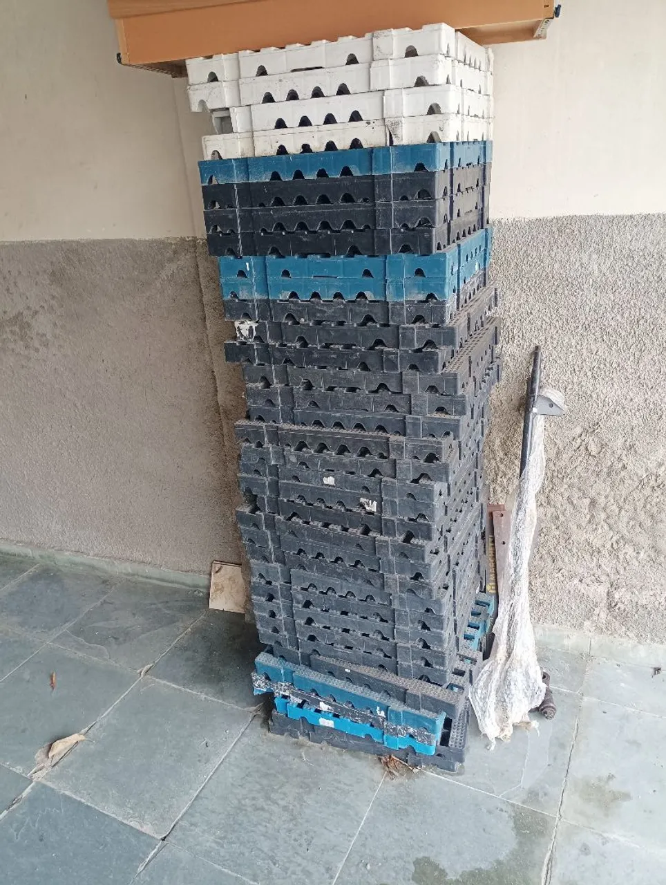 Placas de pallet- Grande Quantidade