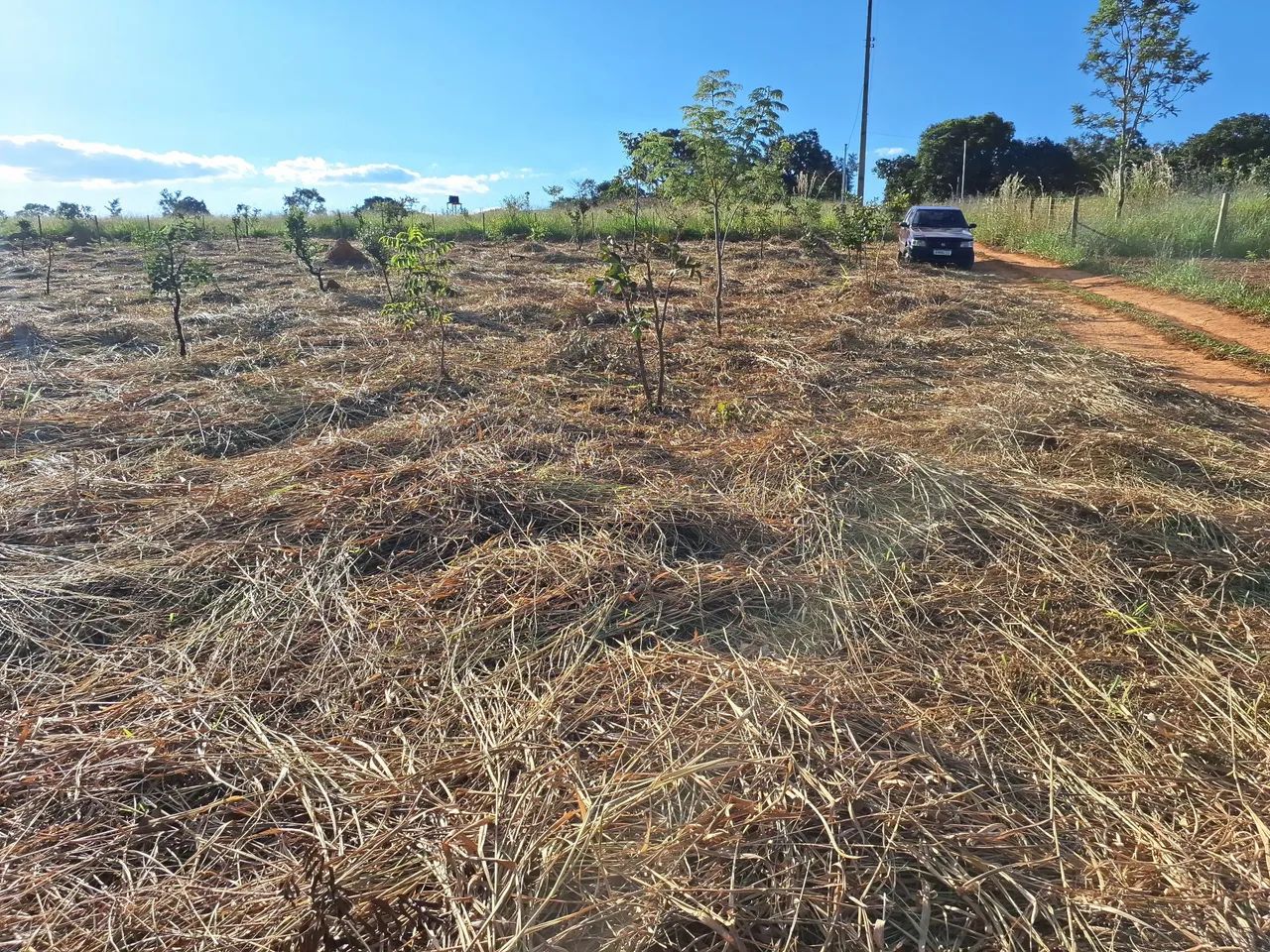 Chácara 1.500mt em Bela Vista de Goiás ótima pra lazer 50 km de Goiânia  - Foto 4