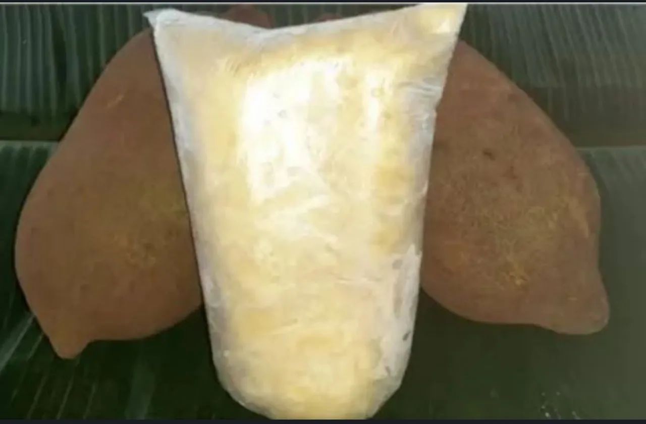 Polpa de fruta Cupuaçu cidade nova 2 - Foto 2