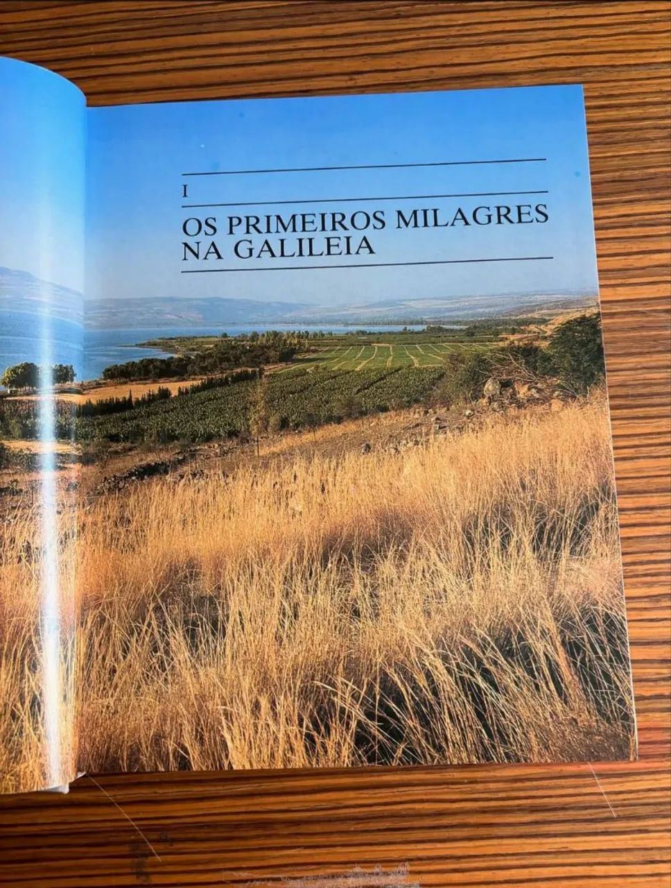 Seguindo a Jesus volumes 2 e 3 de Dante Alimenti Editora VERBO  - Foto 6