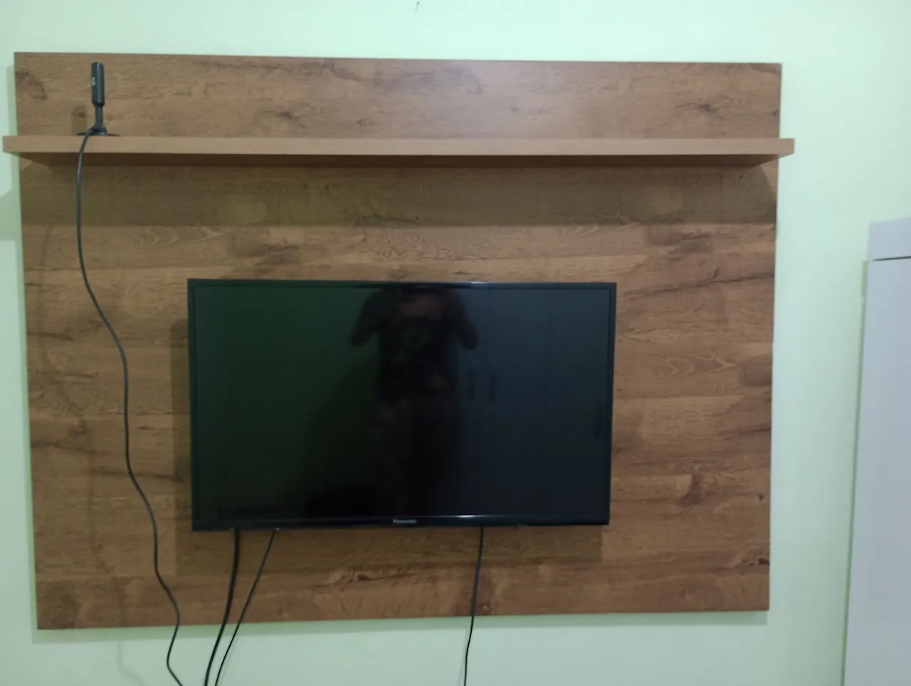 TV Panasonic com Painel de Madeira