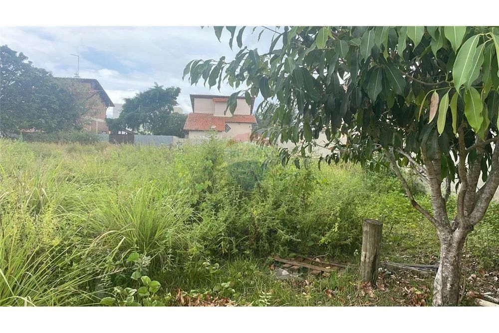 Terreno à Venda: Oportunidade em Serrambi - Foto 3